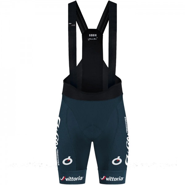 Bekleidung Herren Gobik Wilier Vittoria 2024 Absolute 6.0 K10 tragerhose