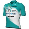 Bekleidung Herren Ale VF Group-Bardiani CSF-Faizane 2025 trikot Bekleidung Herren Ale VF Group-Bardiani CSF-Faizane 2025 trikot