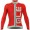 2016 ALE PRR ARCOBALENO Radtrikot Langarm-ROT GREY