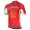 2017 Cofidis Radtrikot Kurzarm