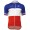 FDJ Pro Team 2017 Tenue Championnat Francais Radtrikot Kurzarm